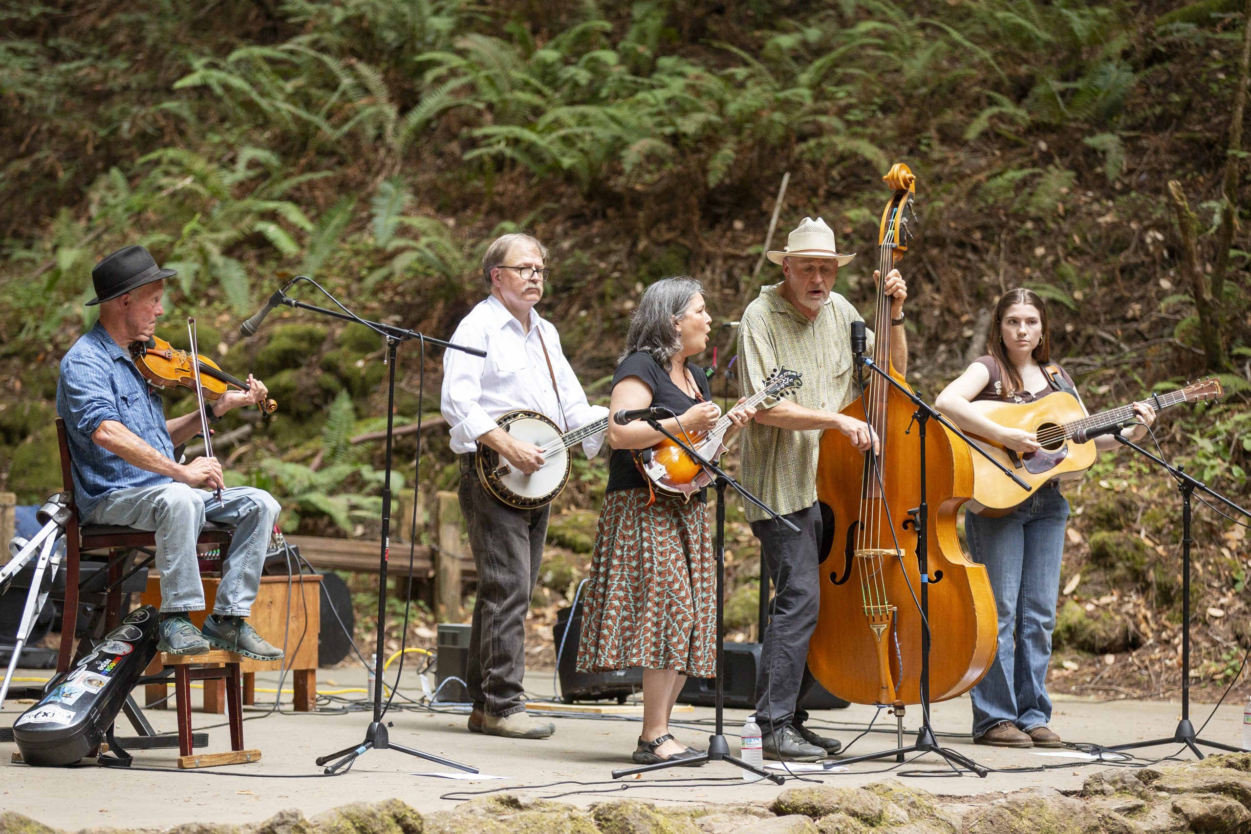 A group of five musicians is performing on an outdoor stage surrounded by greenery. The band includes a violinist, banjo player, mandolin player, upright bass player, and guitarist. The musicians are playing acoustic instruments and appear focused on their performance, creating a rustic, harmonious atmosphere in a natural, woodland setting. The violinist is seated, while the others stand, contributing to a vibrant live music experience in the heart of nature.