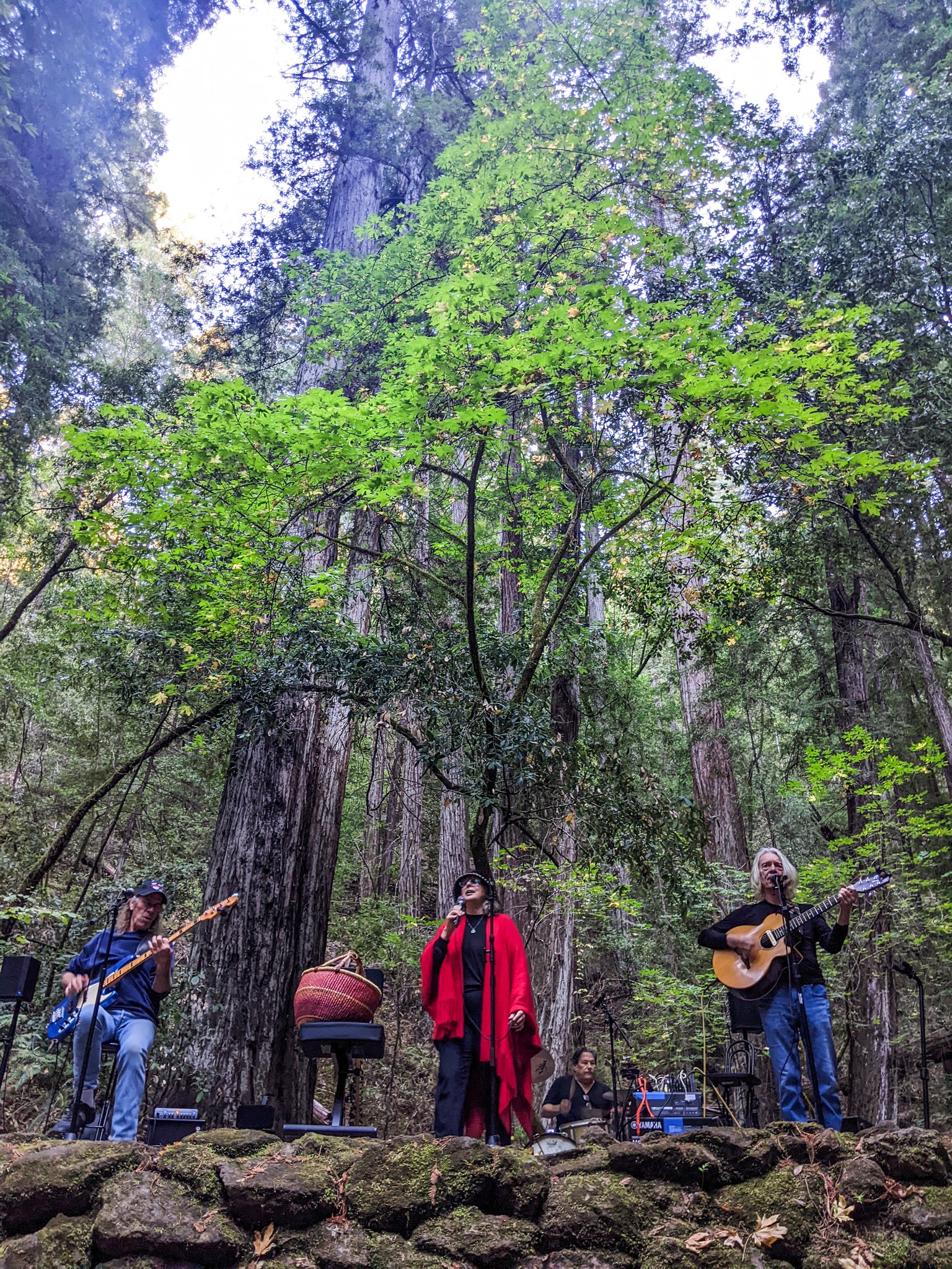 Under tall green trees, four musicians stand on a natural stage on a rock wall. They are dressed casually and comfortably. The bass player on the left has a blue electric bass and is involved in playing. The central figure is the singer, holding a microphone and wearing a red cape. Just barely visible behind the red cape is the face of the drummer, concentrating. The last musician has an acoustic guitar and is standing at the microphone singing and playing.