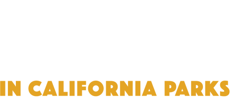 Arts in California Parks logo - white and yellow on a transparent background